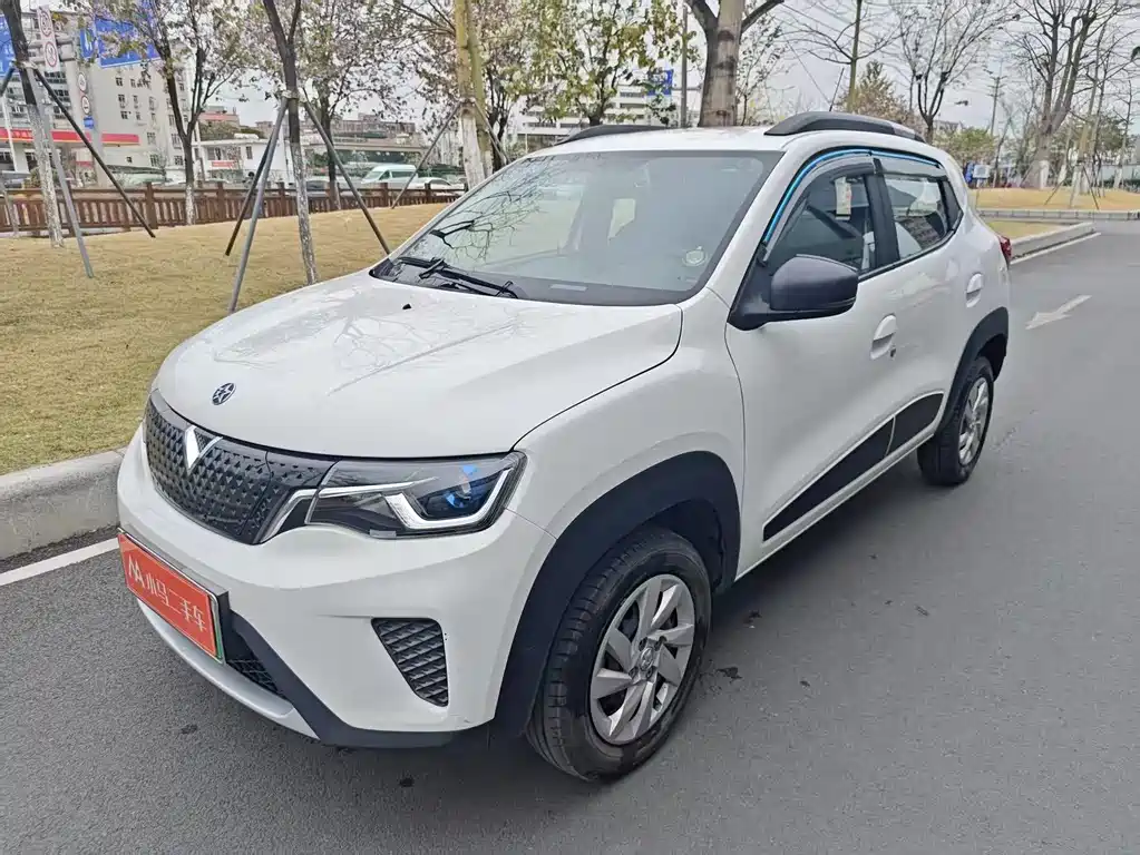 Qichen e30 2020 Elite Edition