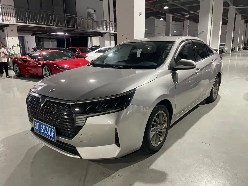 Qichen D60 2021 PLUS 1.6L XE CVT Tide Collar Version