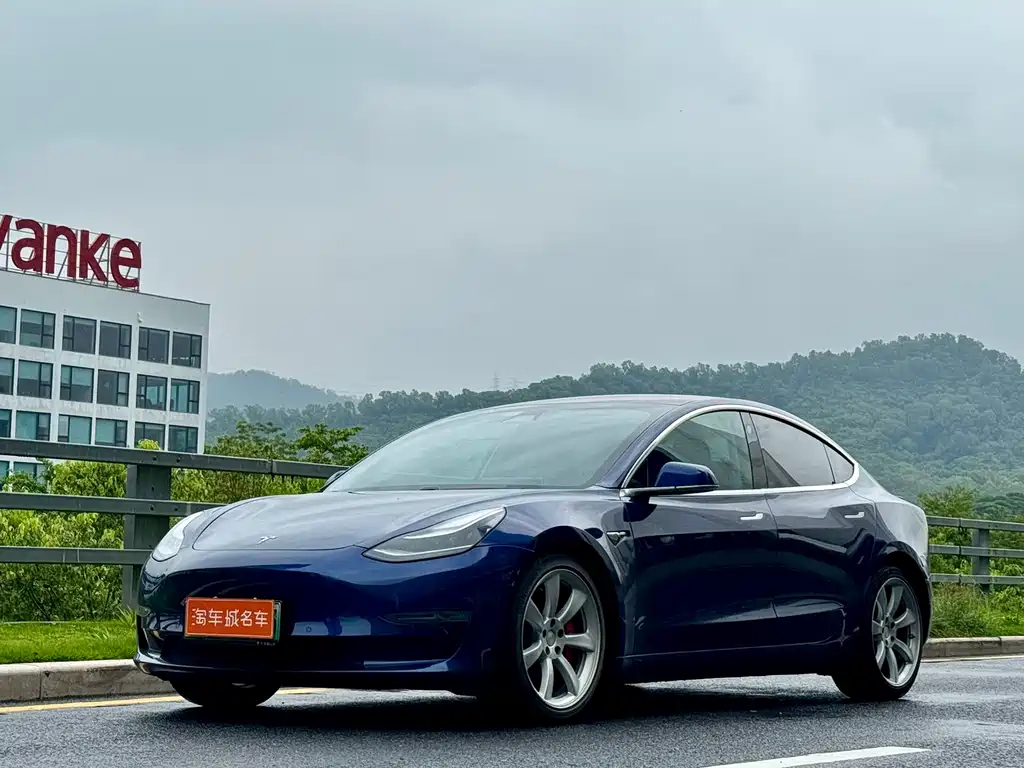 Model 3 imported 2019 Performance high-performance all-wheel drive version
