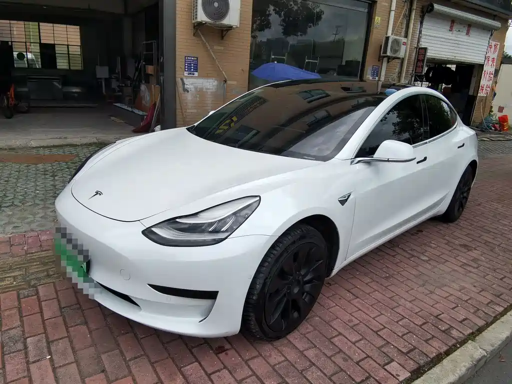 Model 3 (Import) 2019 Standard Range Rear Drive Upgrade
