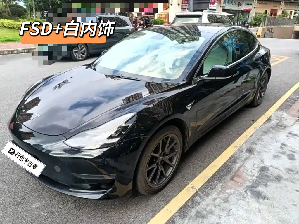 Model 3 imported 2019 long battery life rear drive version