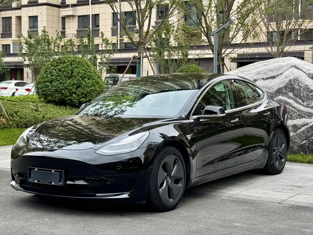 Model 3 2020 Modified Standard Range Rear Drive Upgrade