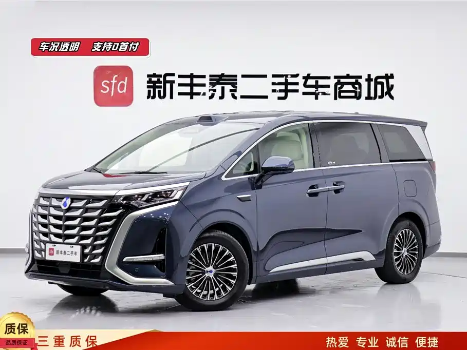 Denza D9 2025 DM-i Smart driving Version 1020 Four-wheel drive premium type