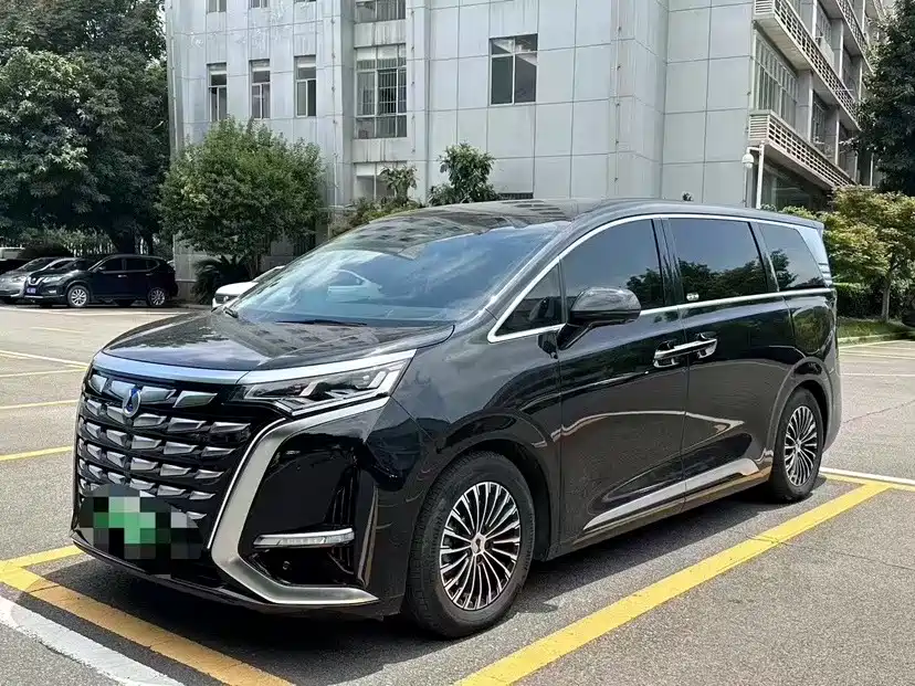 Denza D9 2024 EV 600 four-wheel drive premium type