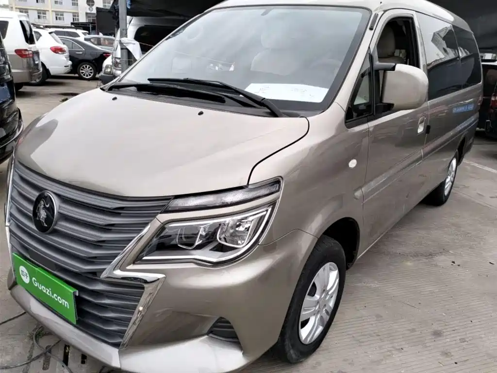 Lingzhi 2021 M5L 2,0Л практичный тип