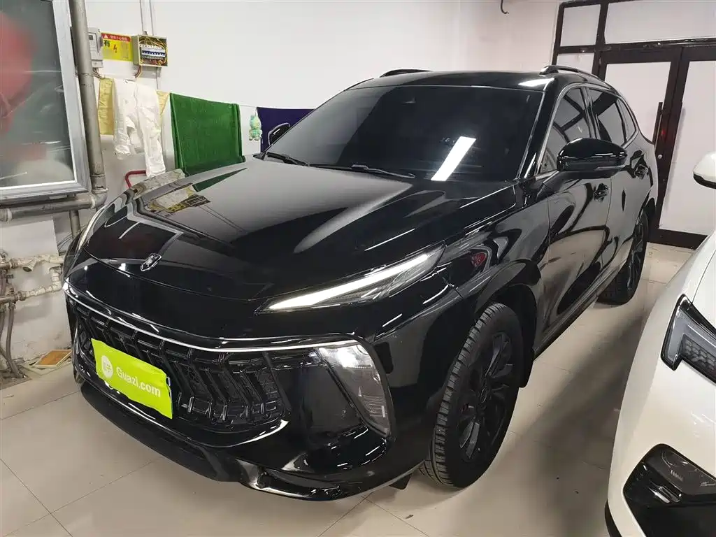 Fengxing T5 EVO 2021 1.5TD DCT Starburst Edition