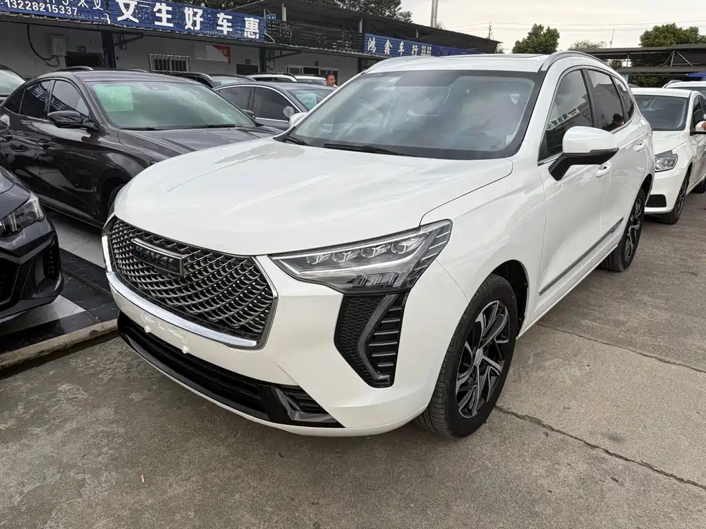 Harvard First Love 2021 1.5T Auto Big Two Edition