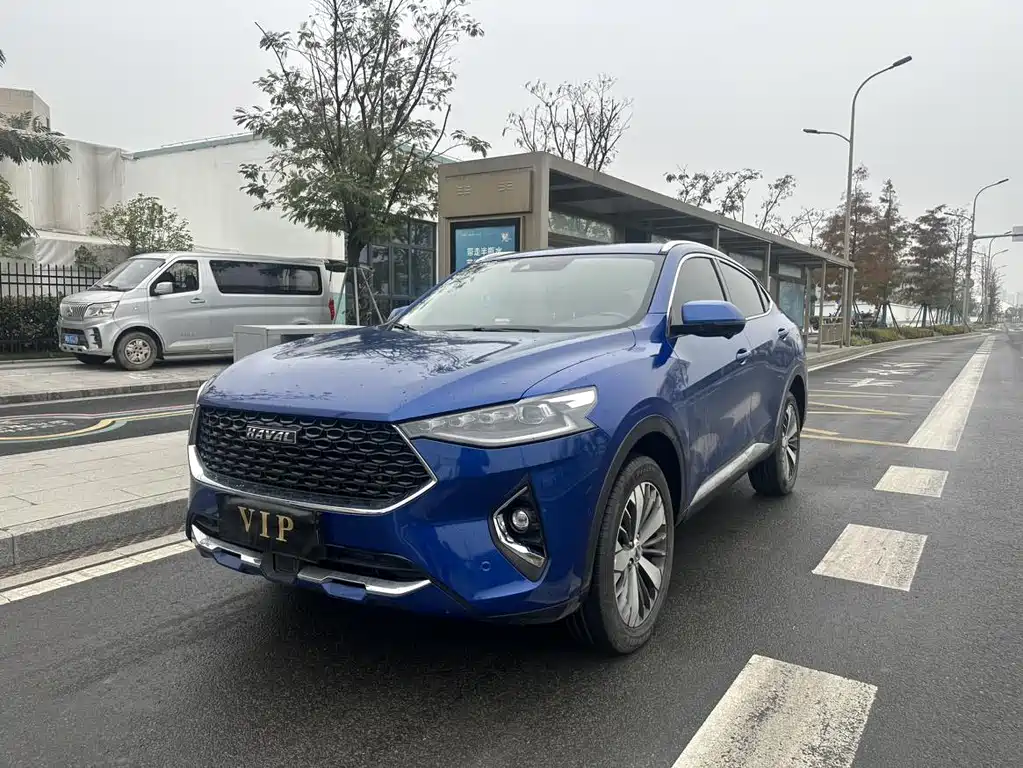 Haval F7x 2019 1.5T two-wheel drive extreme wisdom tide play edition lite
