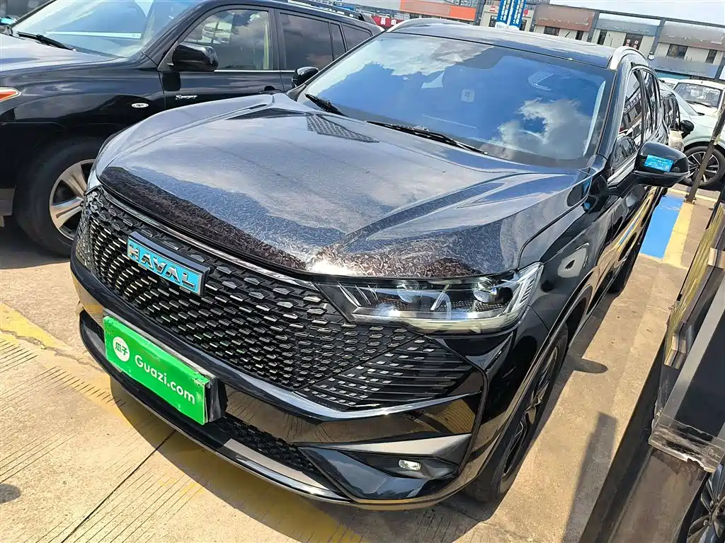 HAVER H6 NEW ENERGY 2023 DHT-PHEV 110KM LOVE VERSION