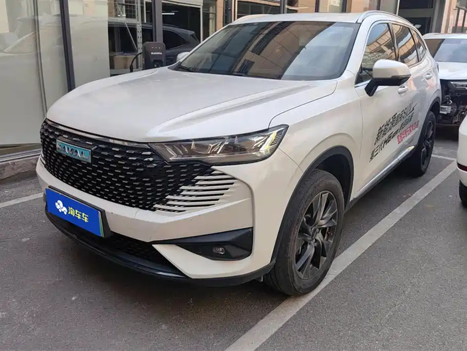 HAVER H6 NEW ENERGY 2023 DHT-PHEV 110KM Smooth Travel Edition