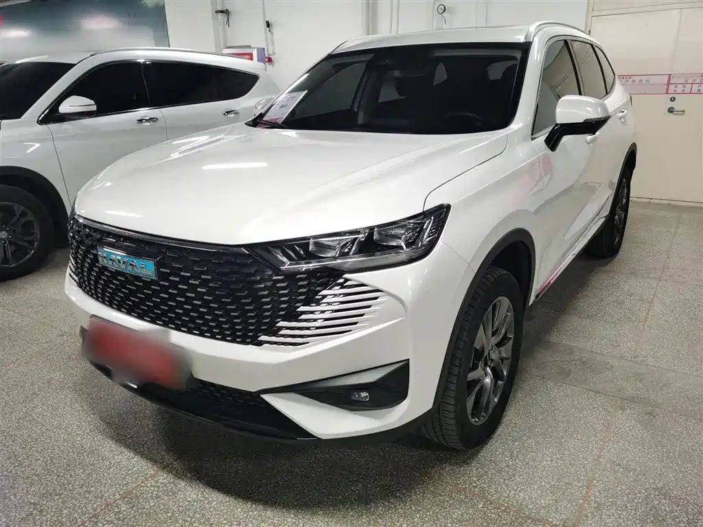 HAVER H6 NEW ENERGY 2023 DHT-PHEV 110KM LOVE VERSION