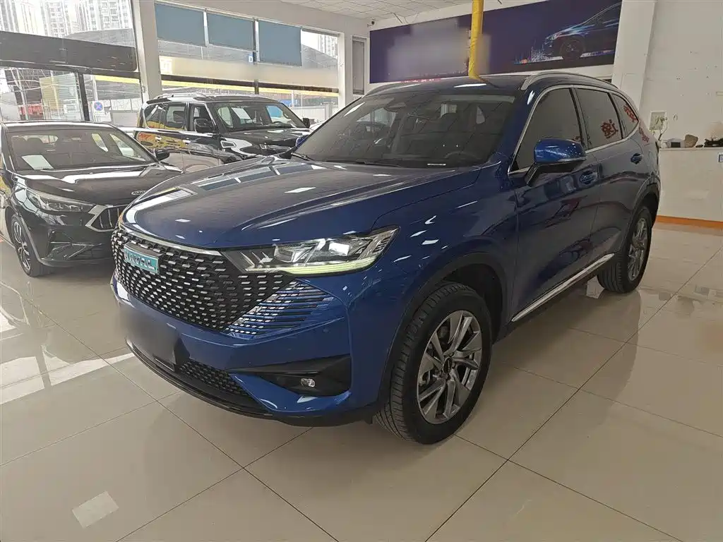 HAVER H6 NEW ENERGY 2023 DHT-PHEV 110KM LOVE VERSION