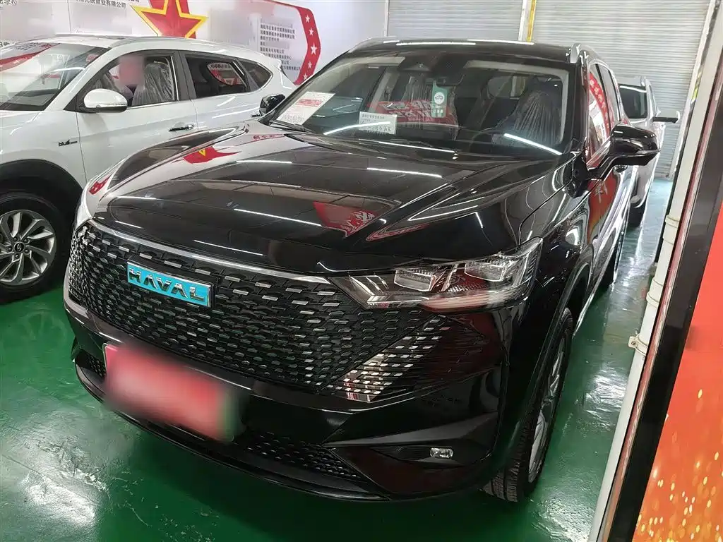 HAVER H6 NEW ENERGY 2023 DHT-PHEV 110KM LOVE VERSION