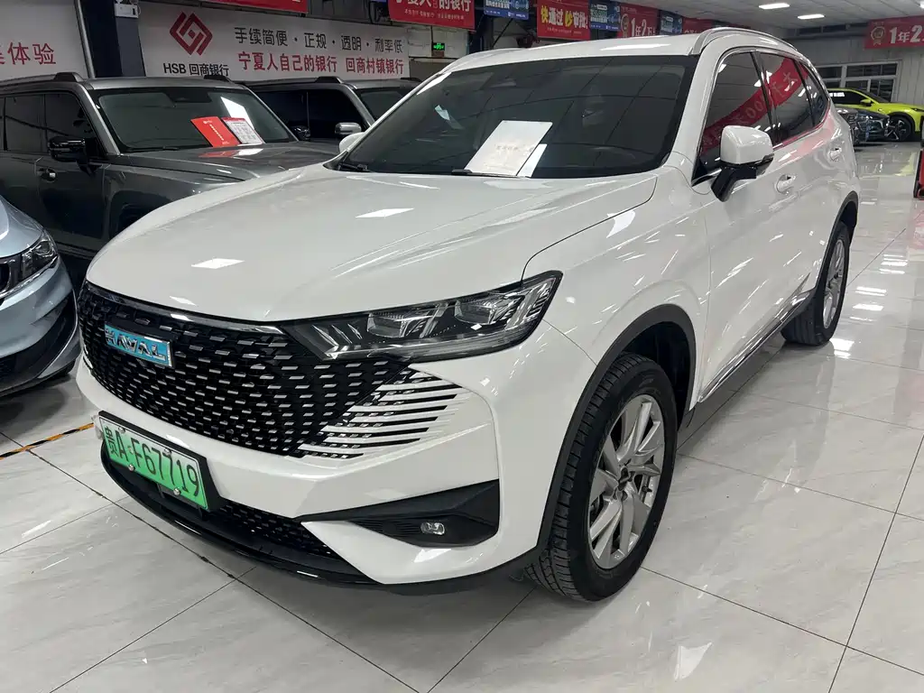 HAVER H6 NEW ENERGY 2023 DHT-PHEV 110KM LOVE VERSION