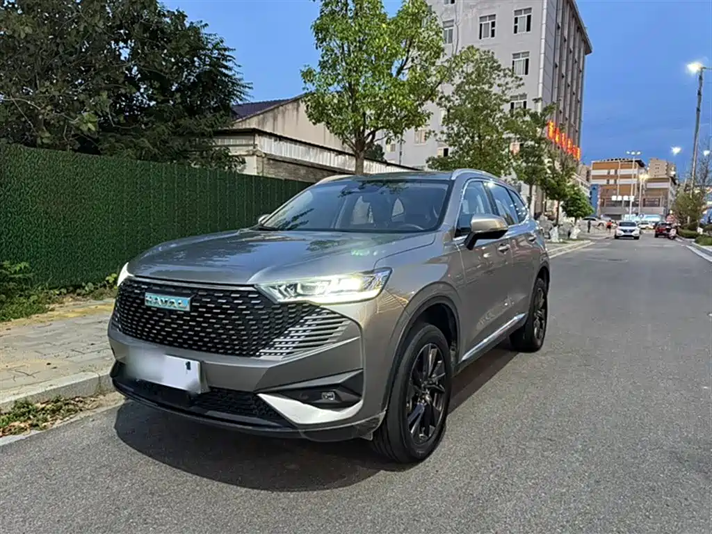 HAVER H6 NEW ENERGY 2023 DHT-PHEV 110KM LOVE VERSION