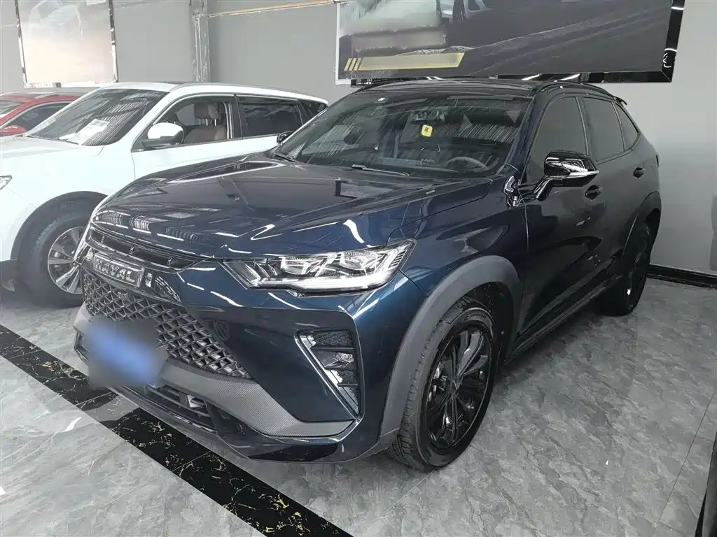 Haval H6S 2022 2.0T 2WD Pleasure Edition