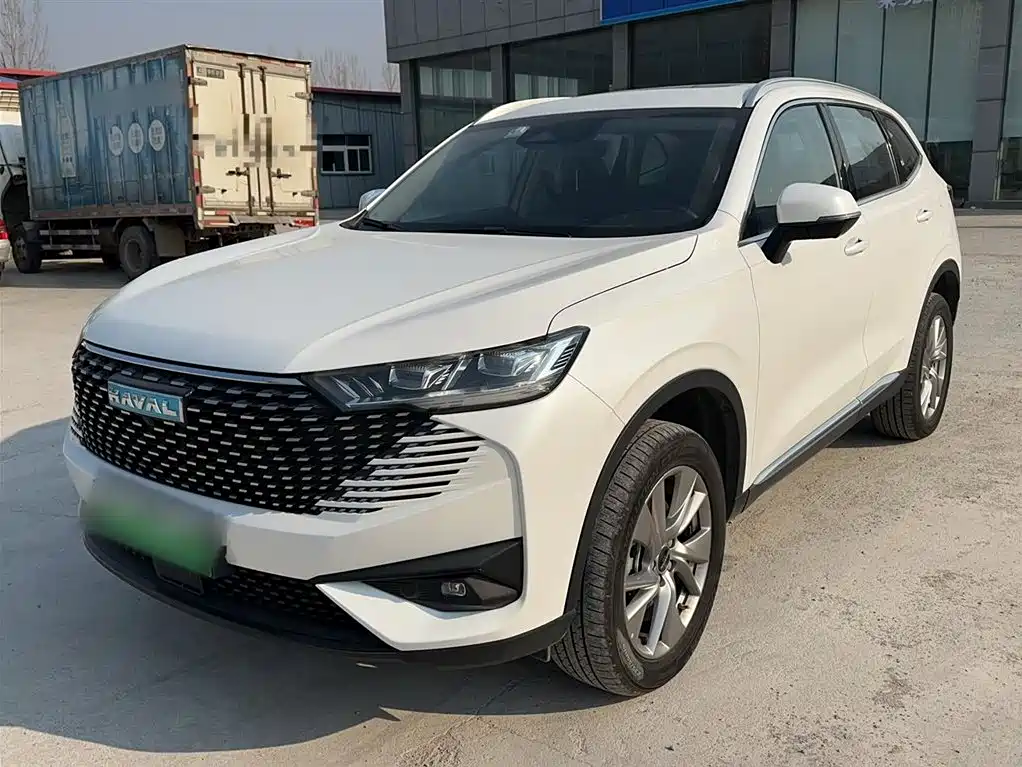 HAVER H6 NEW ENERGY 2023 DHT-PHEV 110KM LOVE VERSION
