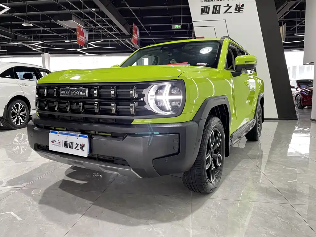 Havoc Cool Dog 2022 1.5T DCT 4WD Tide Wild Edition