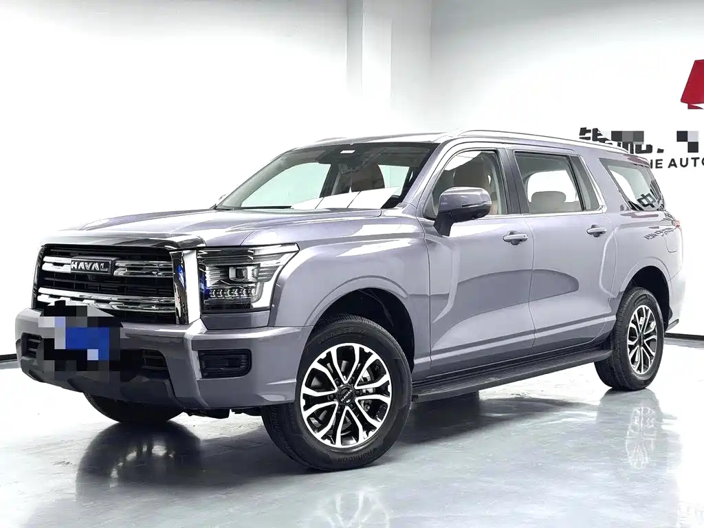 Haval H5 2023 2.0T automatic four-wheel drive leading diesel