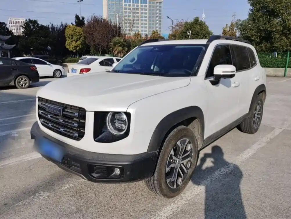Havoc Big Dog 2022 1.5T DCT 2WD Border Ranch Edition