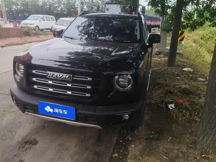 Haval Big Dog 2022 2.0T DCT Four-wheel drive Wheezing Dog Version