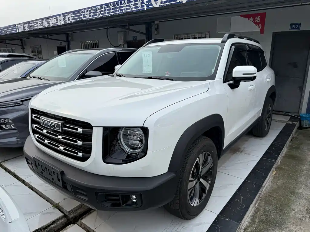 Havoc Big Dog 2022 1.5T DCT 2WD Horse Dog Edition