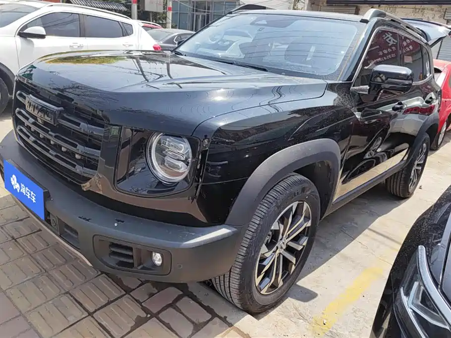 Havoc Big Dog 2022 1.5T DCT 2WD Border Ranch Edition