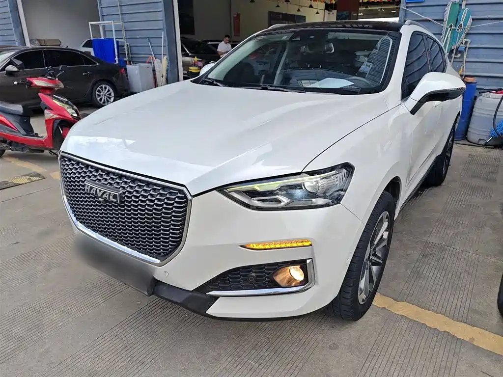 Haval F5 2019 National Tide Version 1.5T i Fan Guo VI