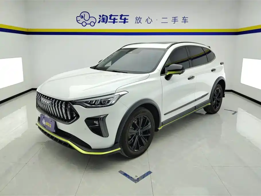 Havalanche 2021 Excite Edition 1.5T Golden Rabbit
