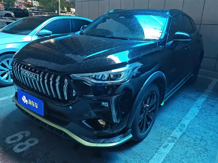 Havalanche 2021 Excite Edition 1.5T Golden Rabbit