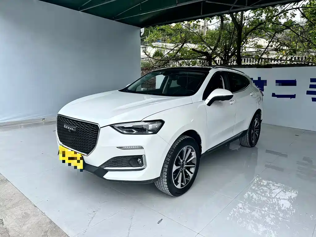 Haval F5 2019 National Tide Edition 1.5T i Tide National VI