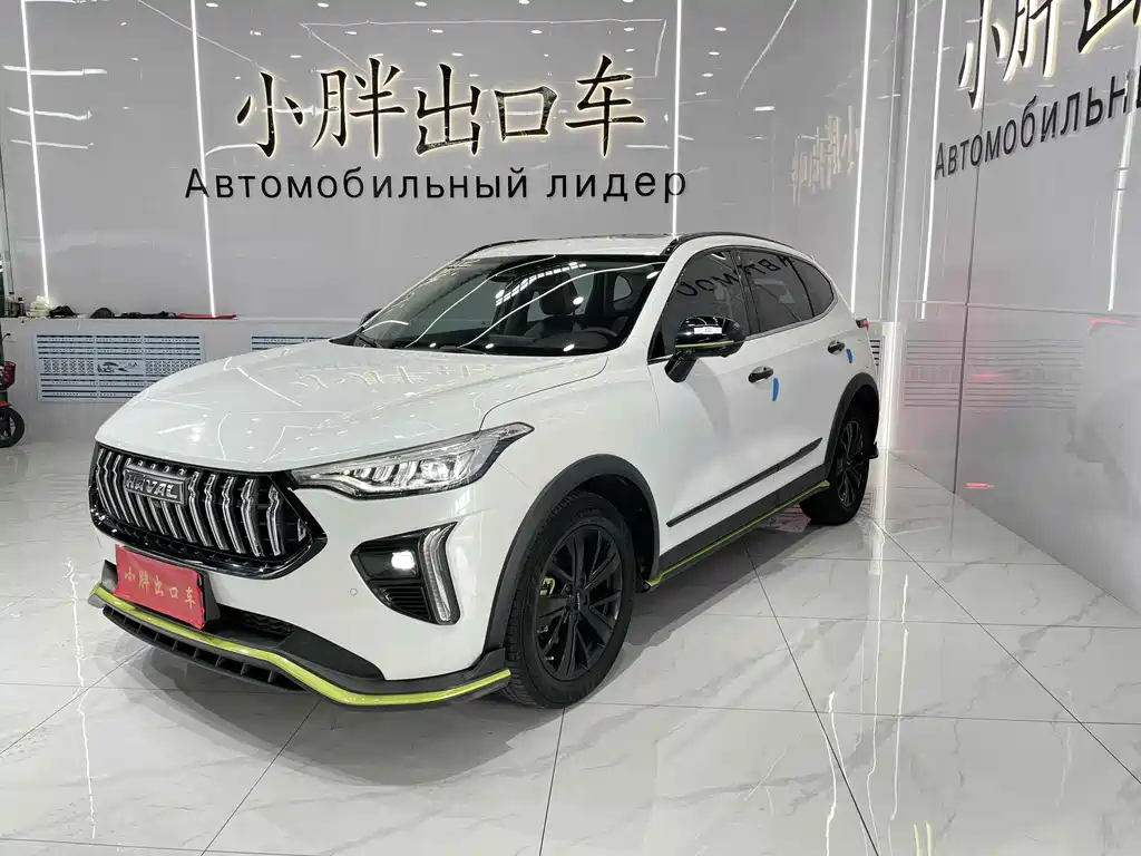 Havalanche 2021 Excite Edition 1.5T Golden Rabbit