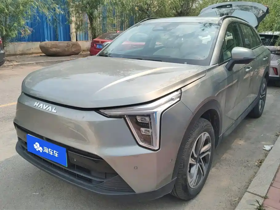 Havalon 2023 1.5L 110KM Pilot Edition