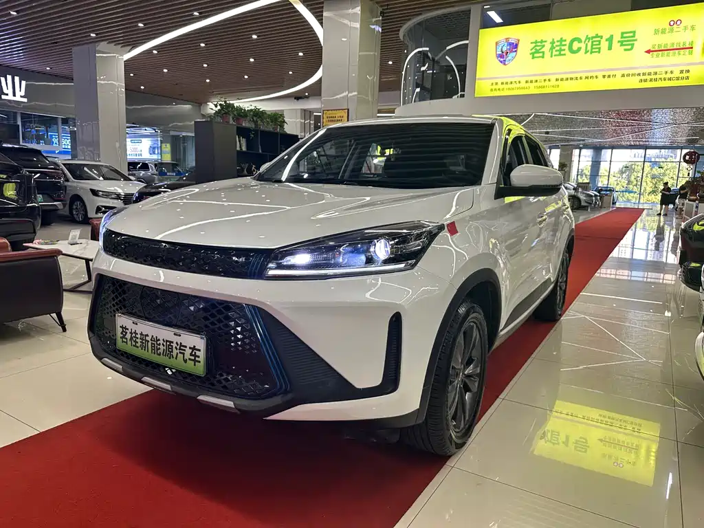 Xuanjie Pro EV 2022 401km Enjoy Edition