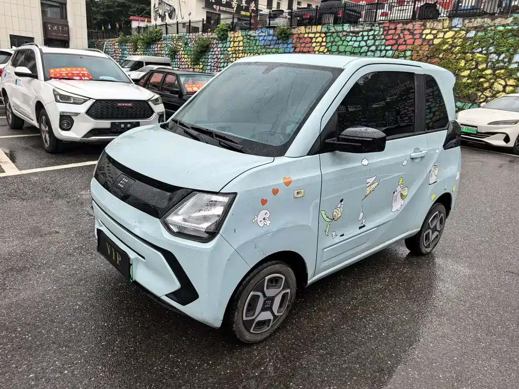 FENGGUANG MINIEV 2022 Solid Model Comfort