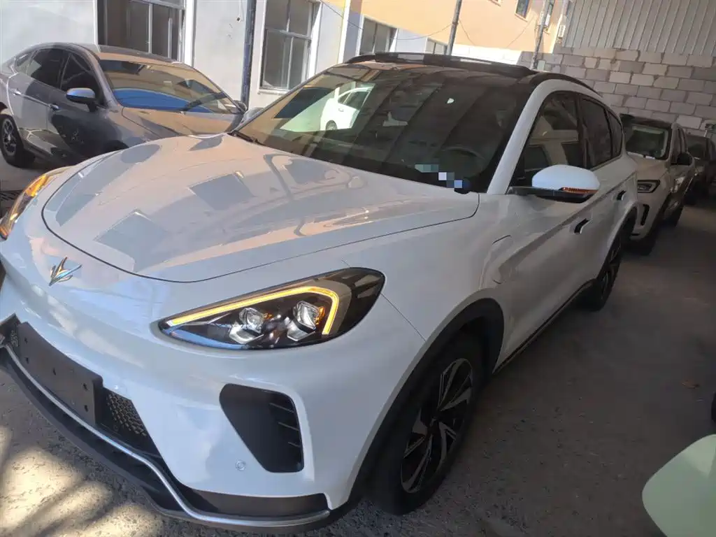 Polar Fox Alpha T 2022 480S 175kW