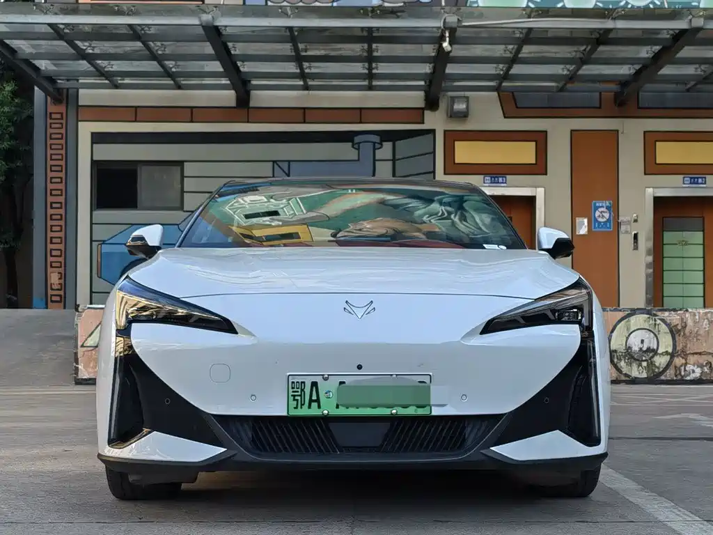 Polar Fox Alpha S5 2024 model 560MAX 185kW