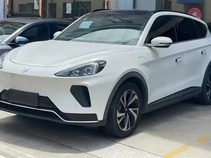 Polar Fox Alpha T 2022 480S 175kW