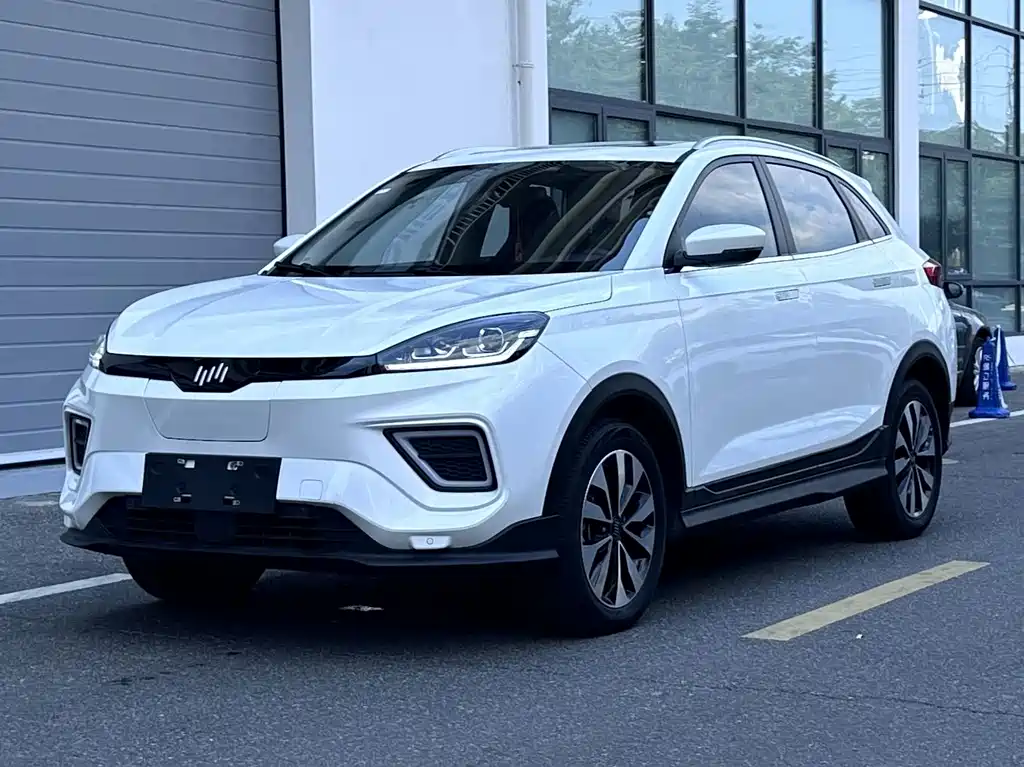 Weima EX5 2021 EX5-Z Веселая динамичная версия