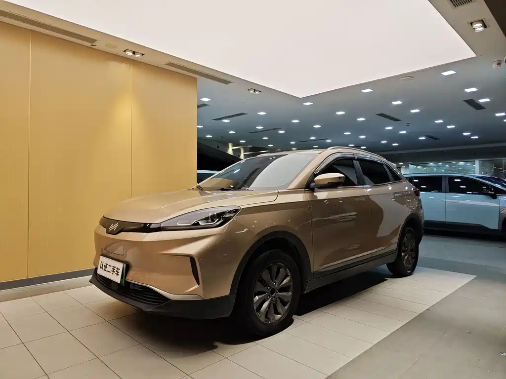Weima EX5 2019 EX5 Mate Weimeng Edition 400 шт.