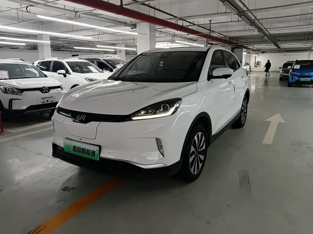 Weima EX5 2019 EX5 Smart Bank 2.0 Extra Инновационная версия 400