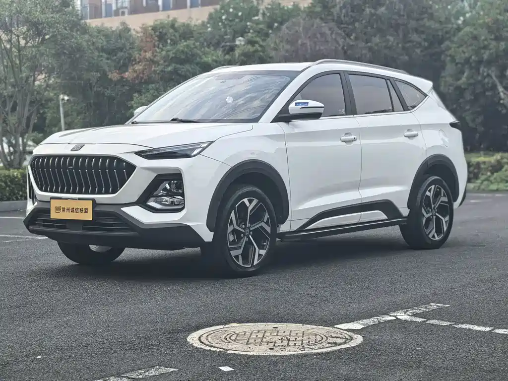 Sihao X8 2021 300T DCT leading Intelligent version 6 seats