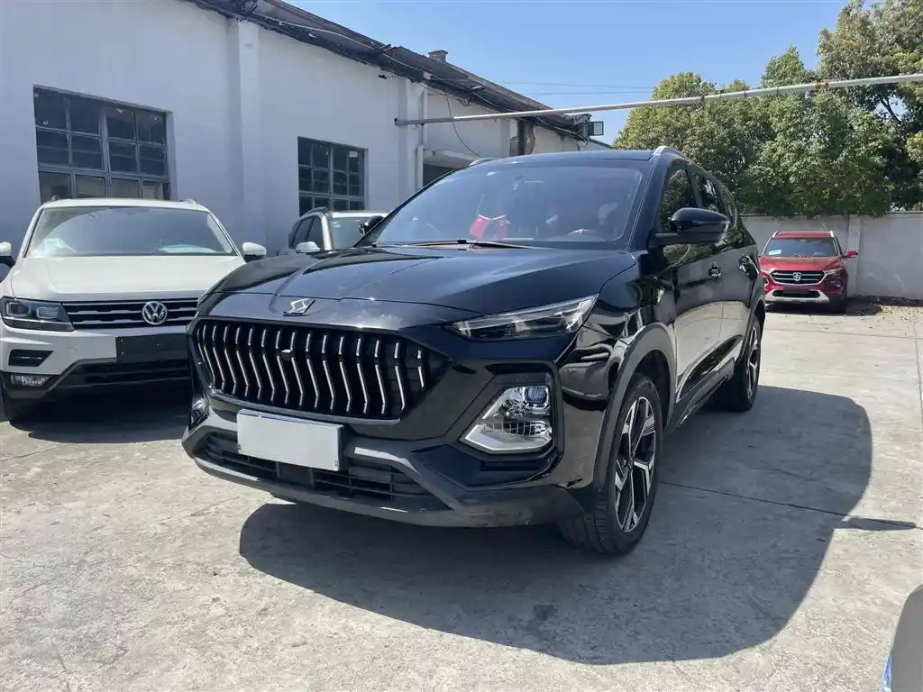 Sihao X8 2021 300T DCT Luxury Smart Union Edition 7 Seats
