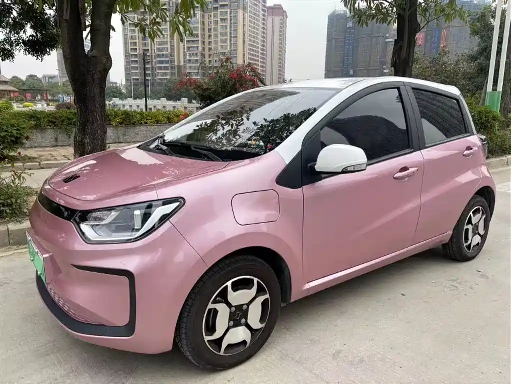 Flower Fairy 2021 302km Deluxe 31.4kWh