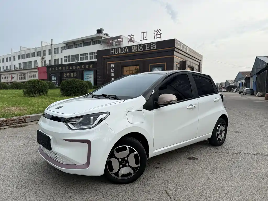 Цветочная фея 2021 модель 302 км модный тип 30,2 кВт*ч