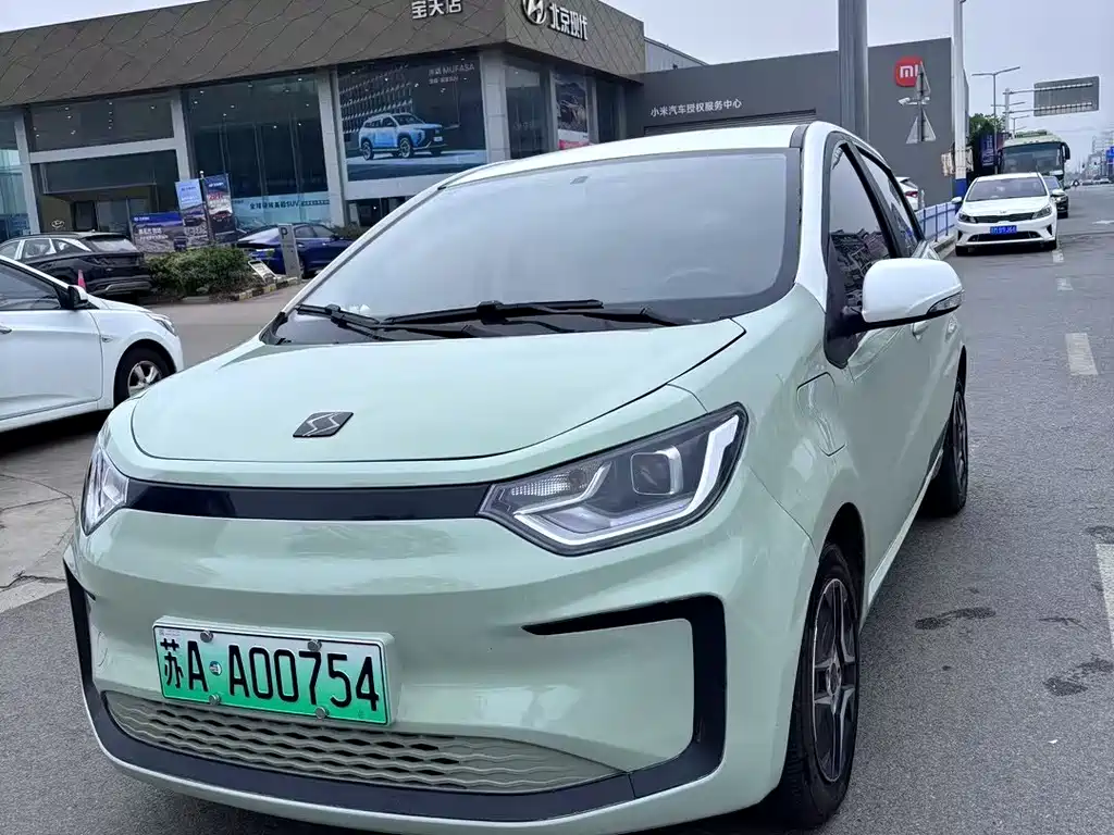 Flower Fairy 2021 302km Deluxe 30.2kWh