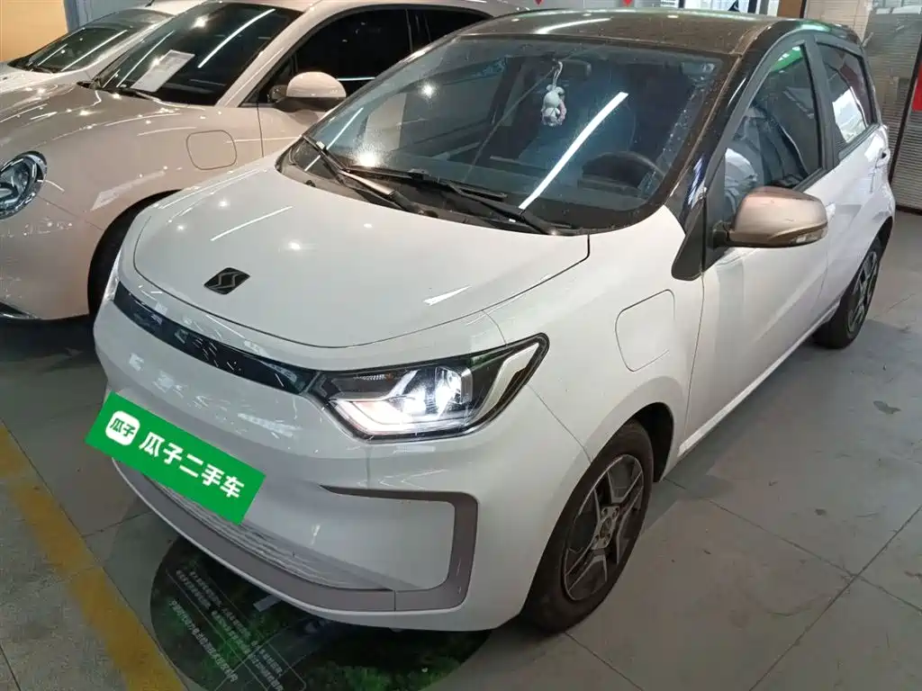 Цветочная фея 2021 модель 302 км модный тип 31,4 кВт*ч