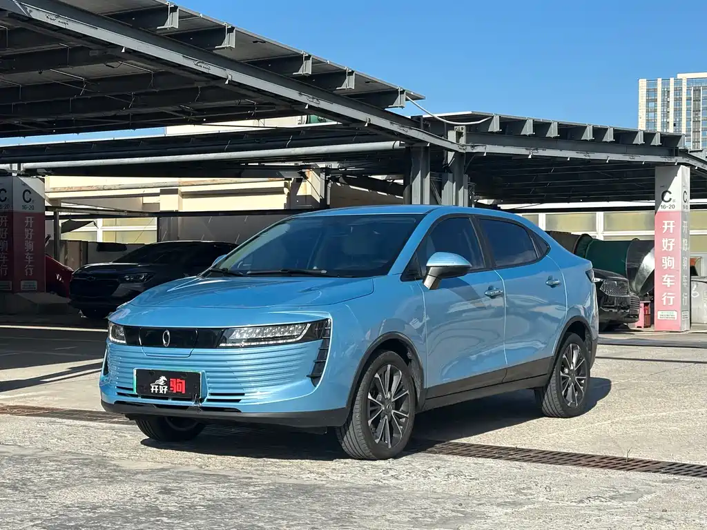 Euler iQ 2019 Smart Zun Type