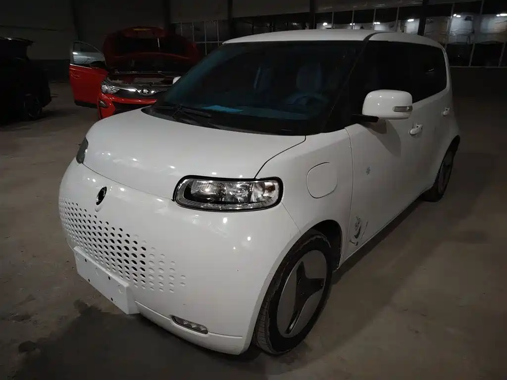 Euler White Cat 2020 Model 360km Standard Type