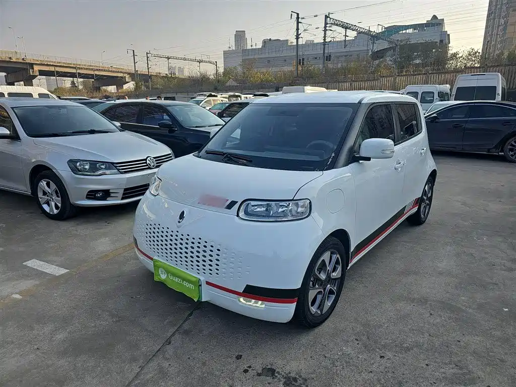 Euler White Cat 2020 Model 305km Luxury Type